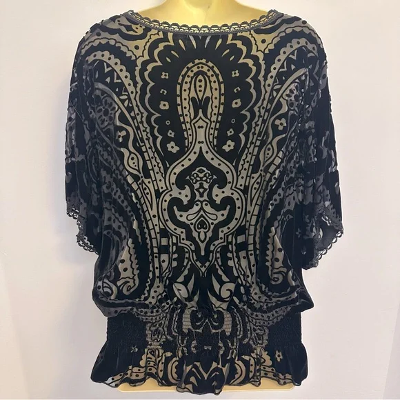 Johnny Was Black Velvet Semi Sheer Blouse with Embroidered Detailing - Picture 3 of 8
